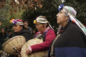 mapuche